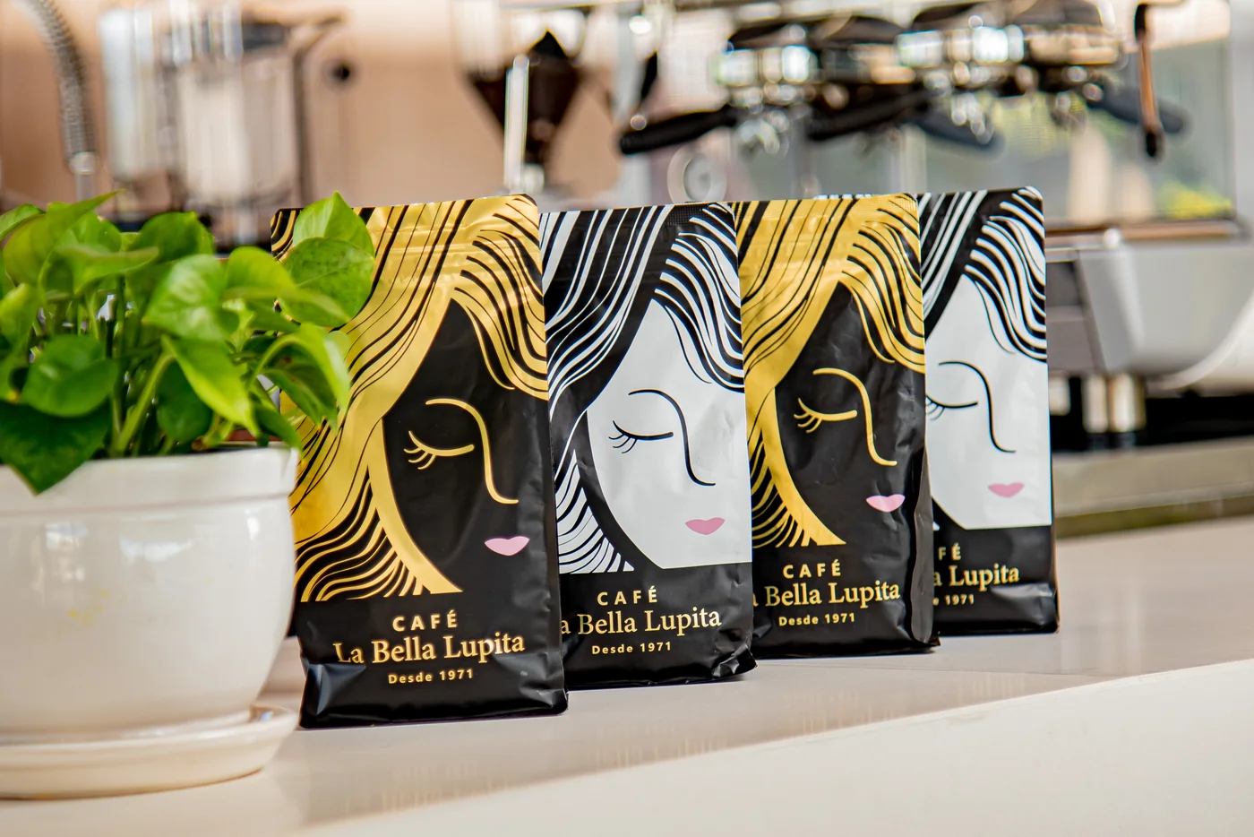Cafe empacado La Bella Lupita en barra